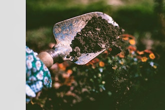 Wake Up Your Garden Saturday: Soil Basics: Get it Right